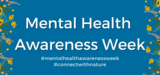 MHAW21 website